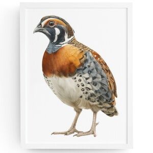 Watercolor Quail Wall Art Print, Unframed - Vibrant Nature-Inspired Home Decor